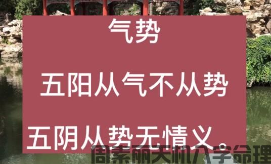 阳干从气不从势，阴干从势无情义